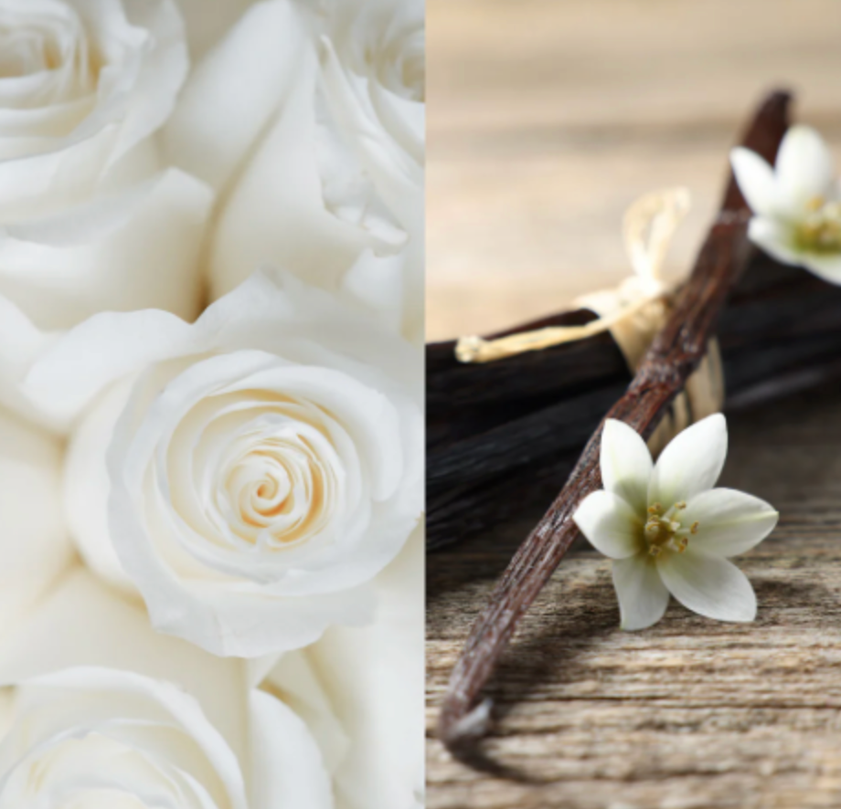 Rewick & Chill refill kit featuring rose and vanilla pre-scented soy wax, two cotton wicks, and two wick tabs—beautifully arranged for a stylish and sustainable candle-making experience at home."