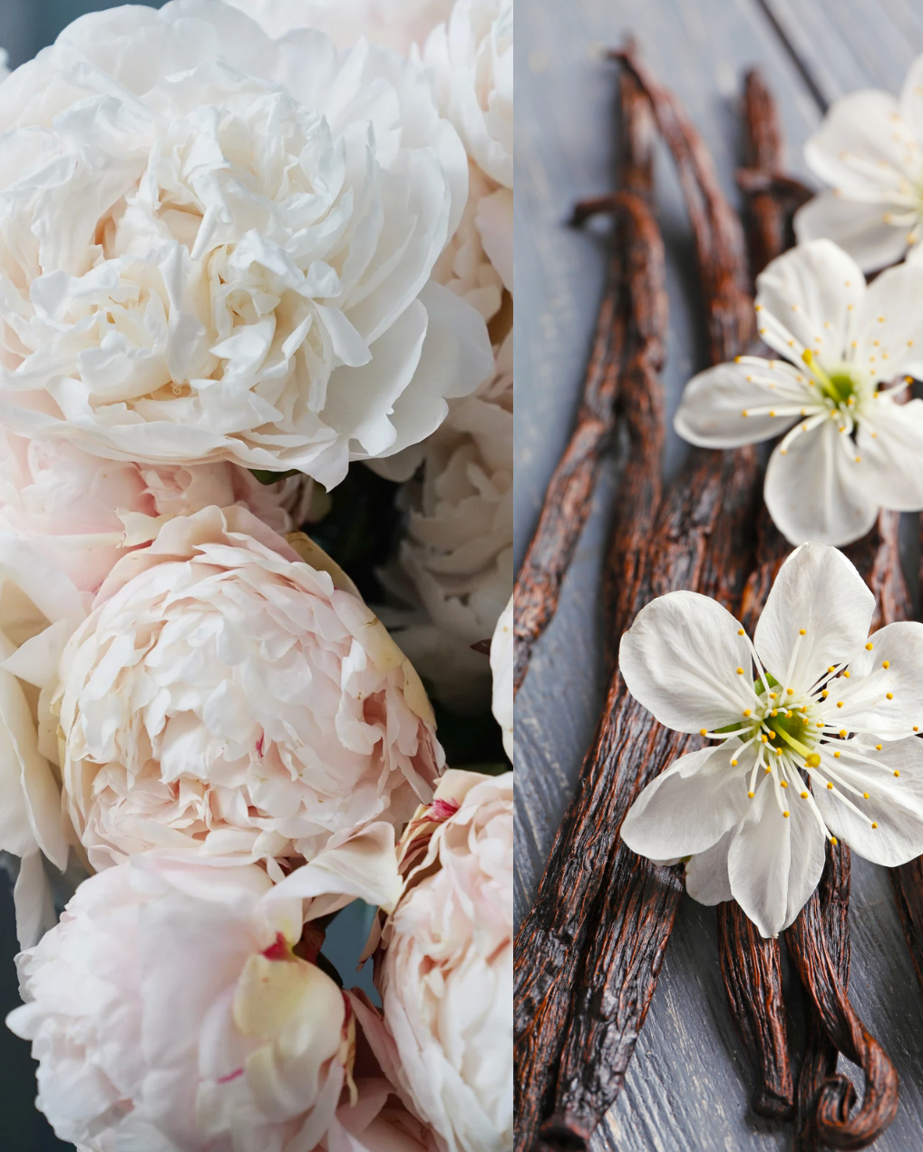 Flat lay of the Rewick & Chill refill kit featuring two cotton wicks, wick tabs, and a sealed pouch of pre-scented soy wax in the Peony + Vanilla scent. Surrounded by soft pink peony petals and vanilla pods on a neutral fabric background, evoking a clean, dreamy summer vibe.