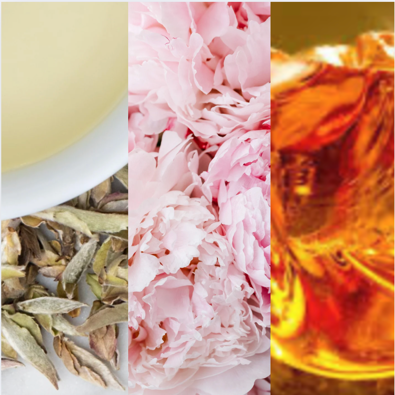 White tea, peony, and amber soy wax melts in modern packaging, offering a fresh floral and warm home fragrance.