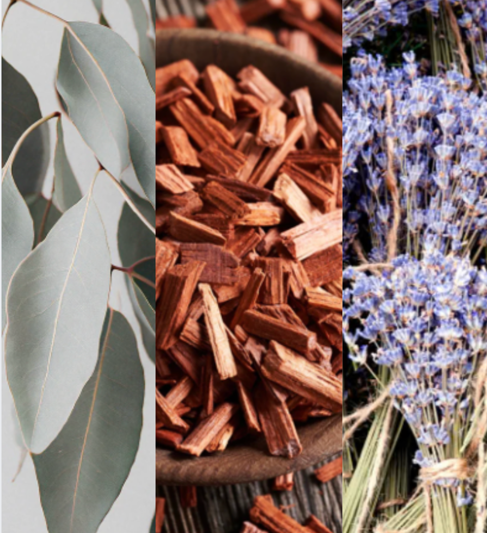 A close-up of the Eucalyptus, Sandalwood, and Lavender car diffuser hanging from a rearview mirror. The natural wood lid and clear glass bottle catch the sunlight, while the soft-focus background shows a calm morning drive, emphasizing a peaceful and elevated car interior