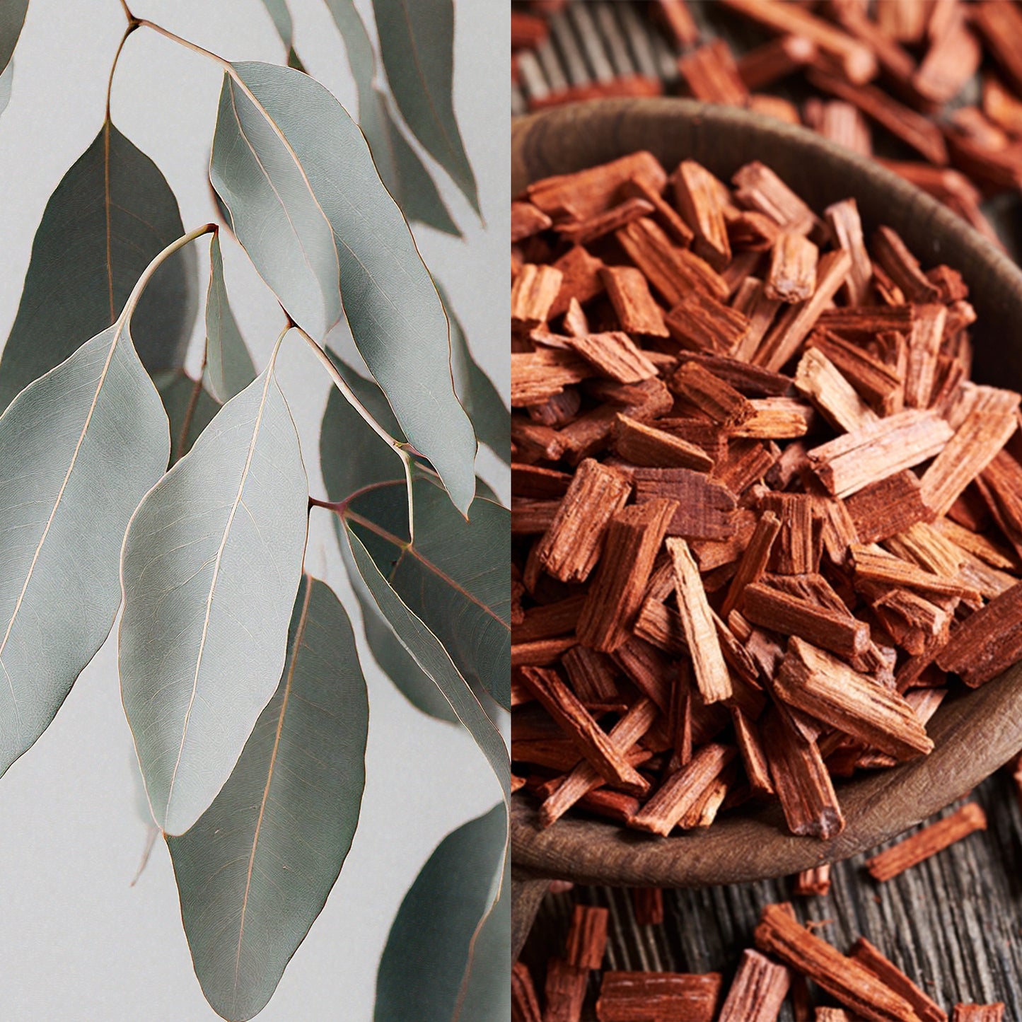 Eucalyptus & Sandalwood (12oz)