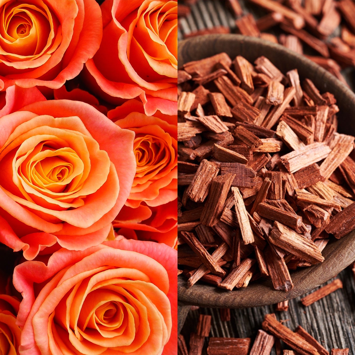 Rose and Sandalwood soy candle and wax melts with a romantic floral and warm woodsy fragrance, hand-poured and toxin-free.