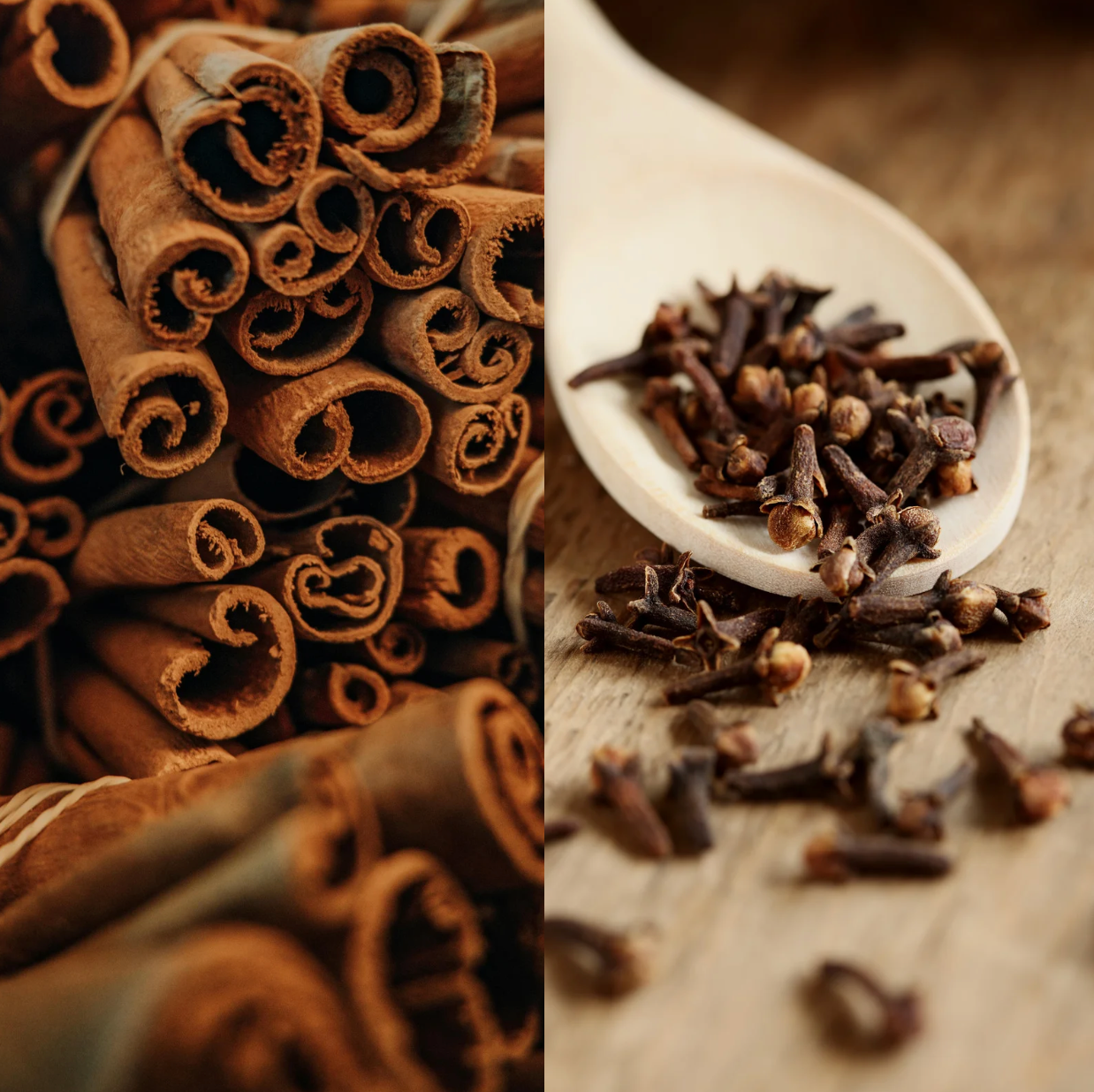 cinnamon and clove soy candle styled with cinnamon sticks, whole cloves, and warm neutral textures, creating a cozy, spiced holiday atmosphere.