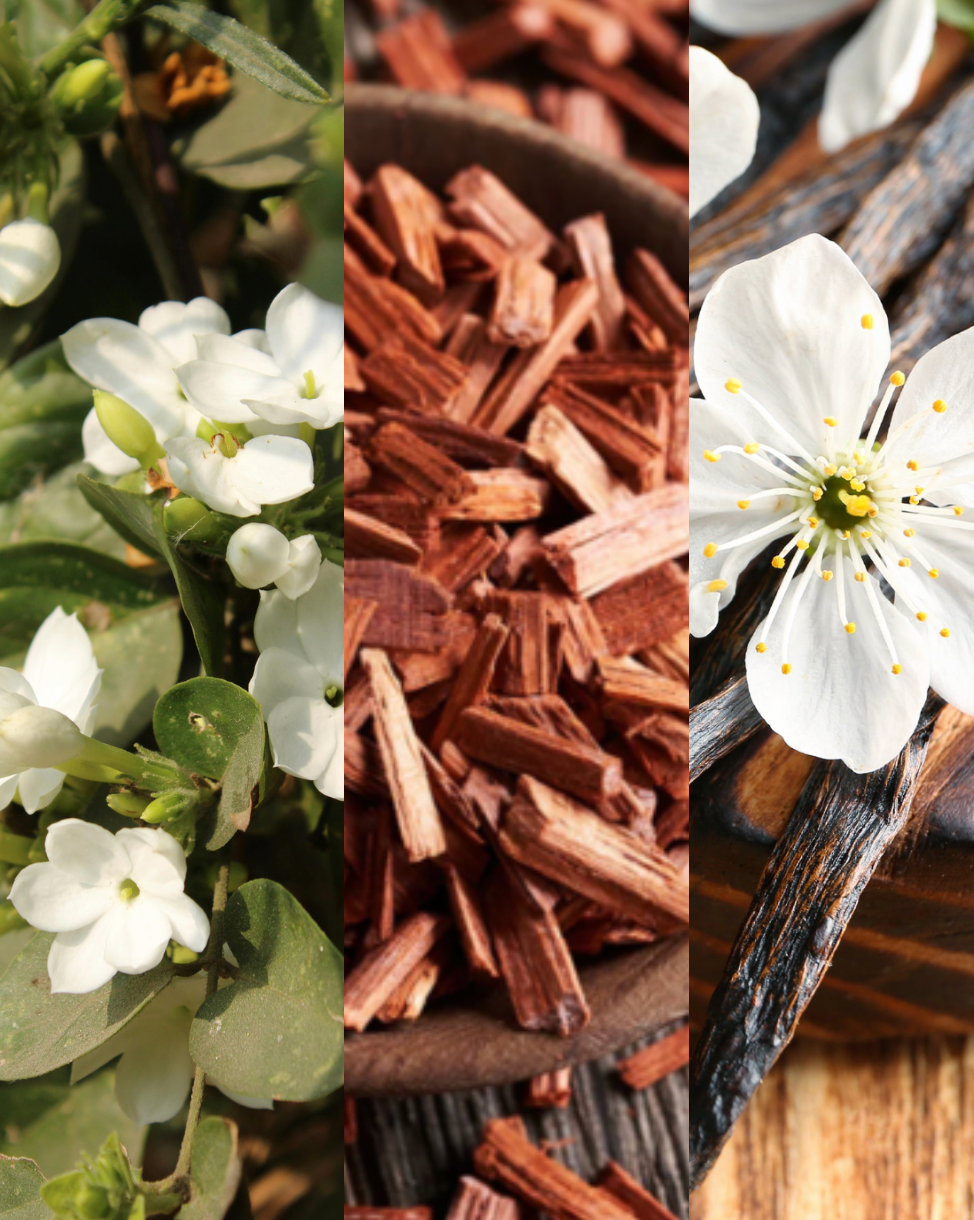 A luxury candle titled 'Sophisticated Romance' in a minimalist glass jar. The label is clean and modern, listing notes of Jasmine, Vanilla, and Sandalwood. The candle is styled on a marble surface next to a sprig of dried jasmine and a sandalwood incense stick.